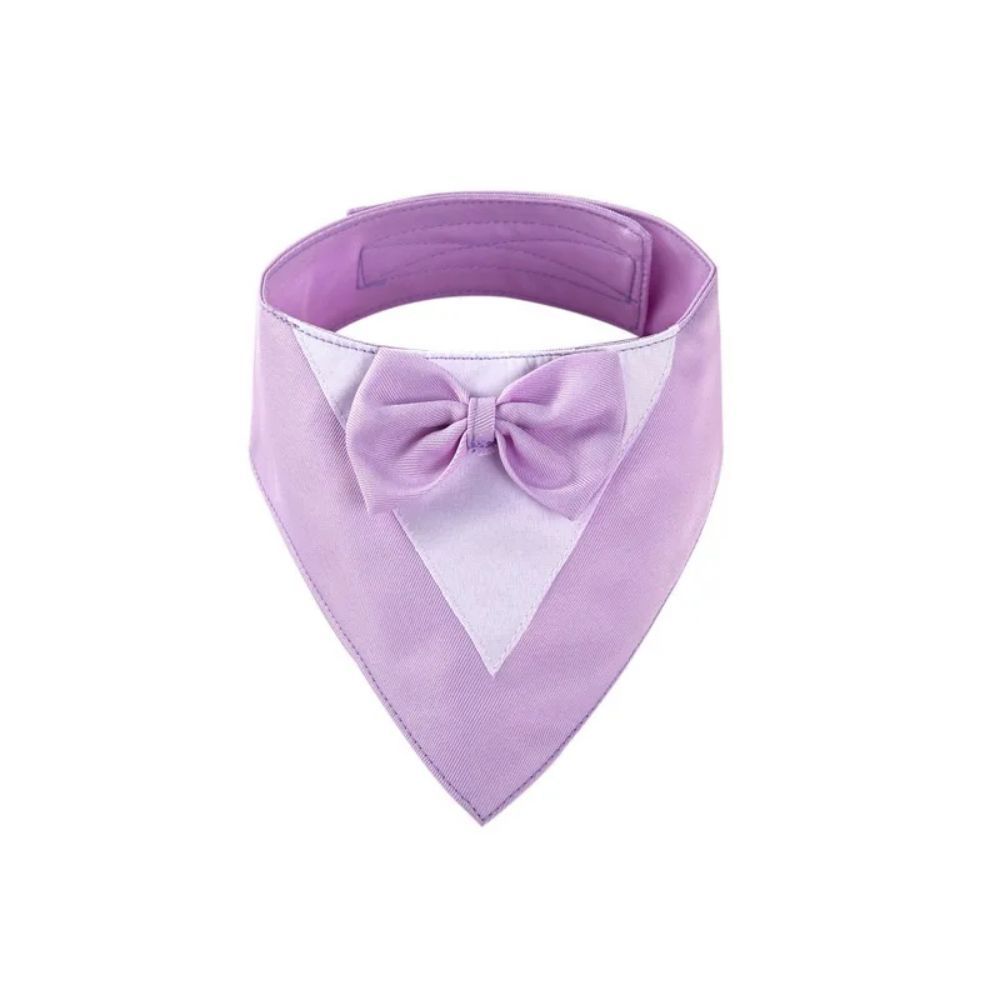 Pet Collar, fancy bow tie, time to dress up!