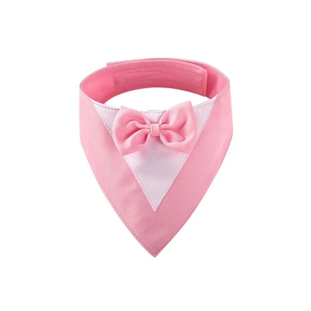 Pet Collar, fancy bow tie, time to dress up!