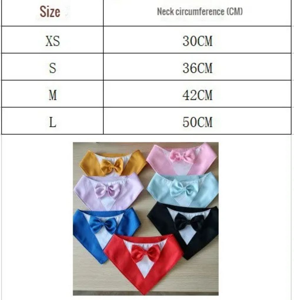 Pet Collar, fancy bow tie, time to dress up!