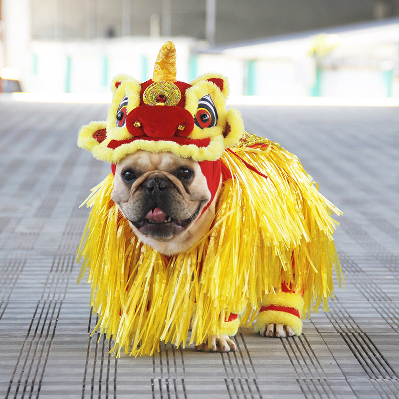 Lion Dance Pet Costume