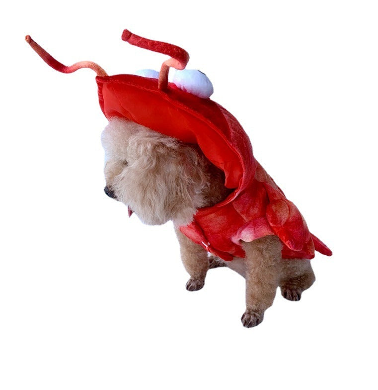 Lobster Pet Costume!
