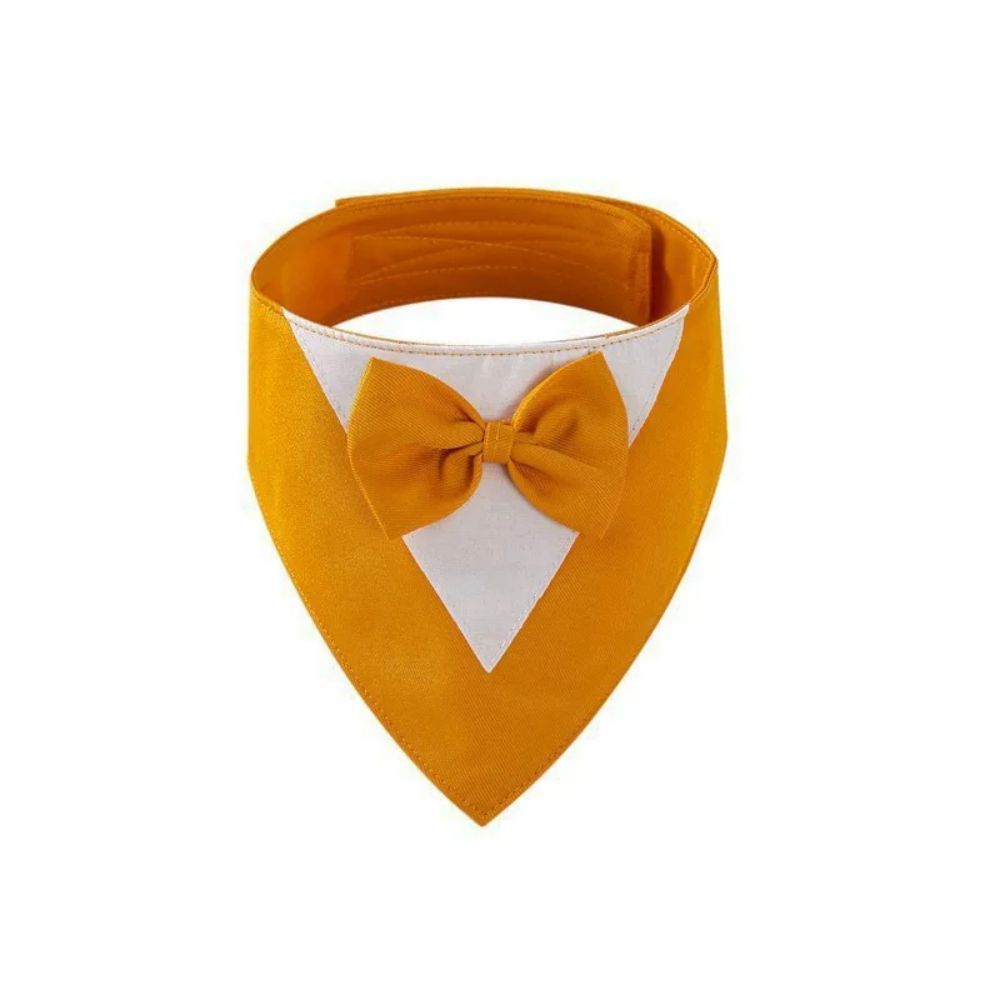 Pet Collar, fancy bow tie, time to dress up!