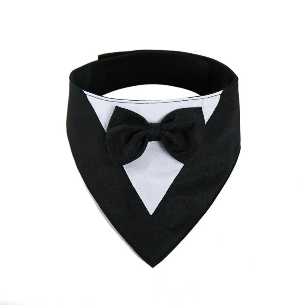 Pet Collar, fancy bow tie, time to dress up!