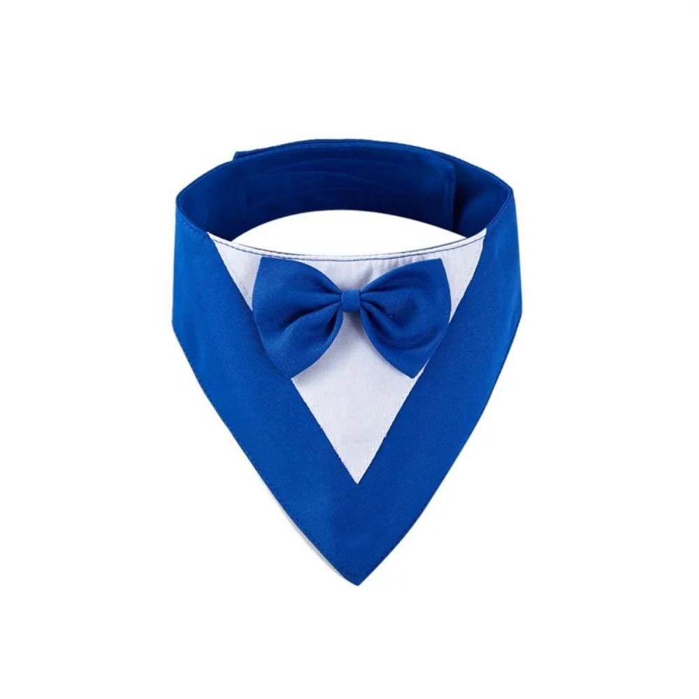 Pet Collar, fancy bow tie, time to dress up!