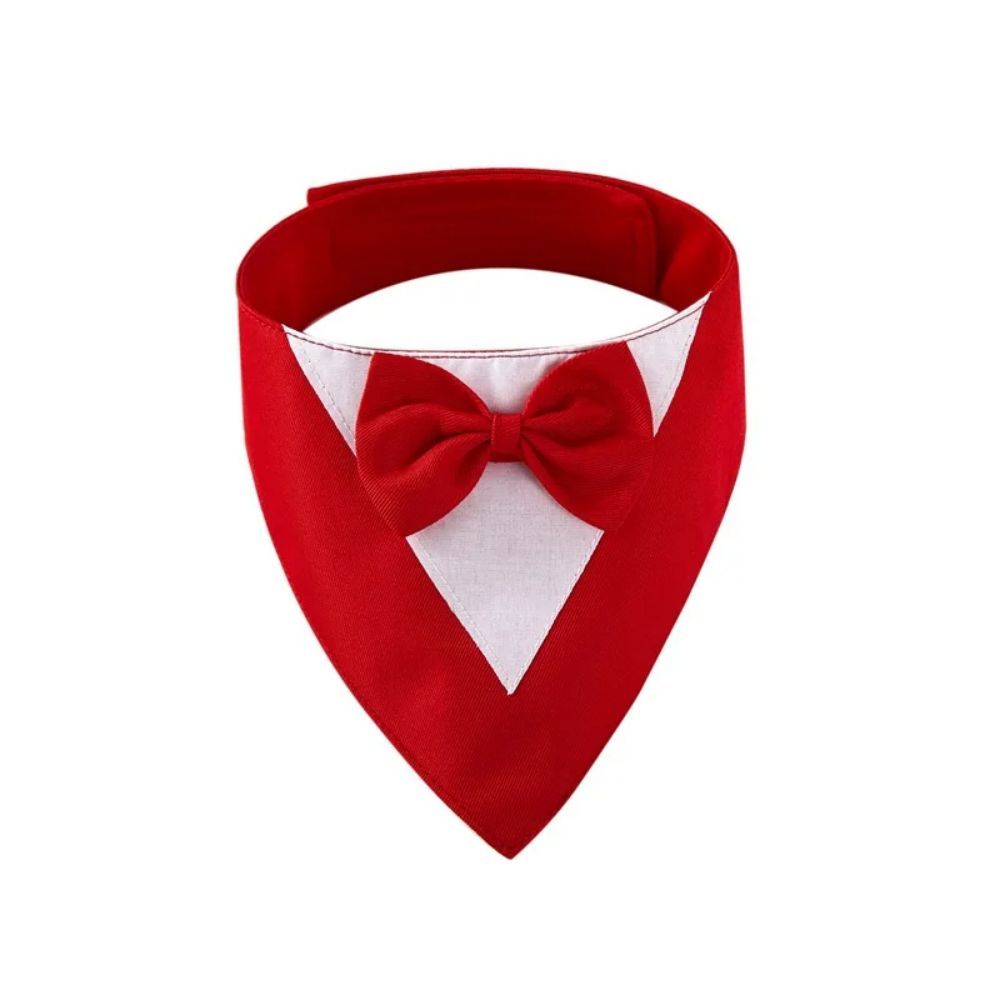 Pet Collar, fancy bow tie, time to dress up!