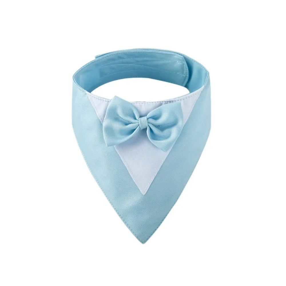 Pet Collar, fancy bow tie, time to dress up!