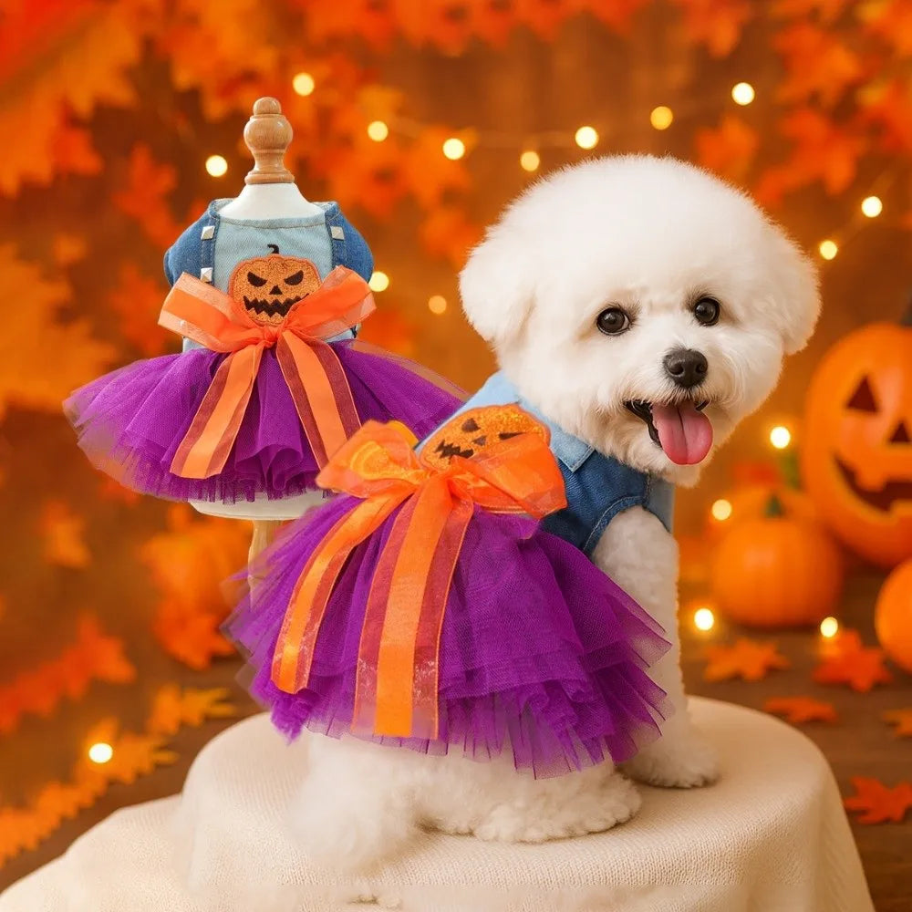 Purple Pumpkin pet Dress Cosplay costume