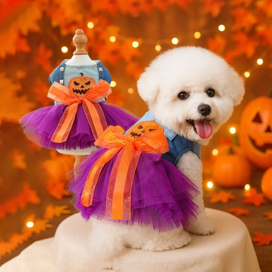 Purple Pumpkin pet Dress Cosplay costume