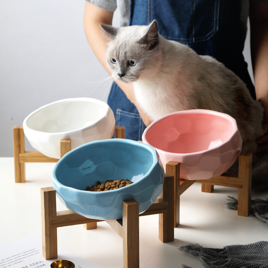 Cute Pet bowl