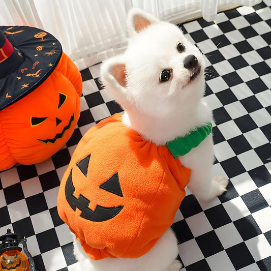 Pumpkin Cutie Pet Costume