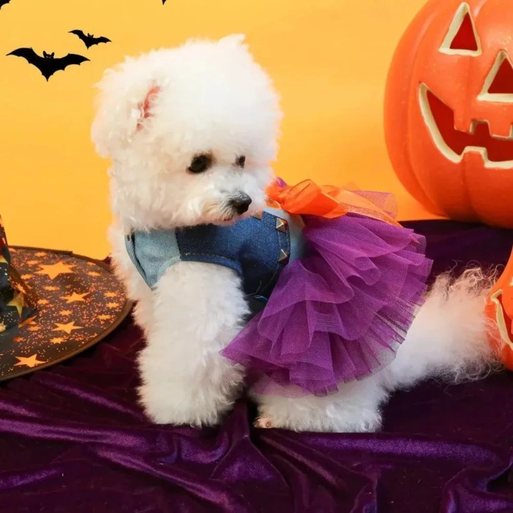 Purple Pumpkin pet Dress Cosplay costume