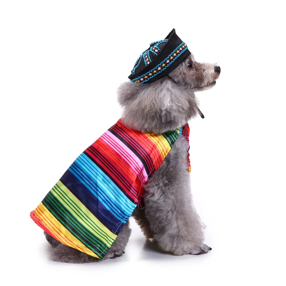 Pet Holiday Cosplay costume