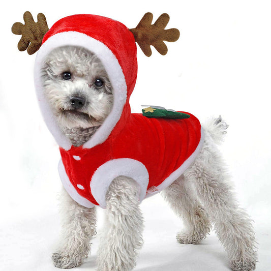 Festive Pet Dress