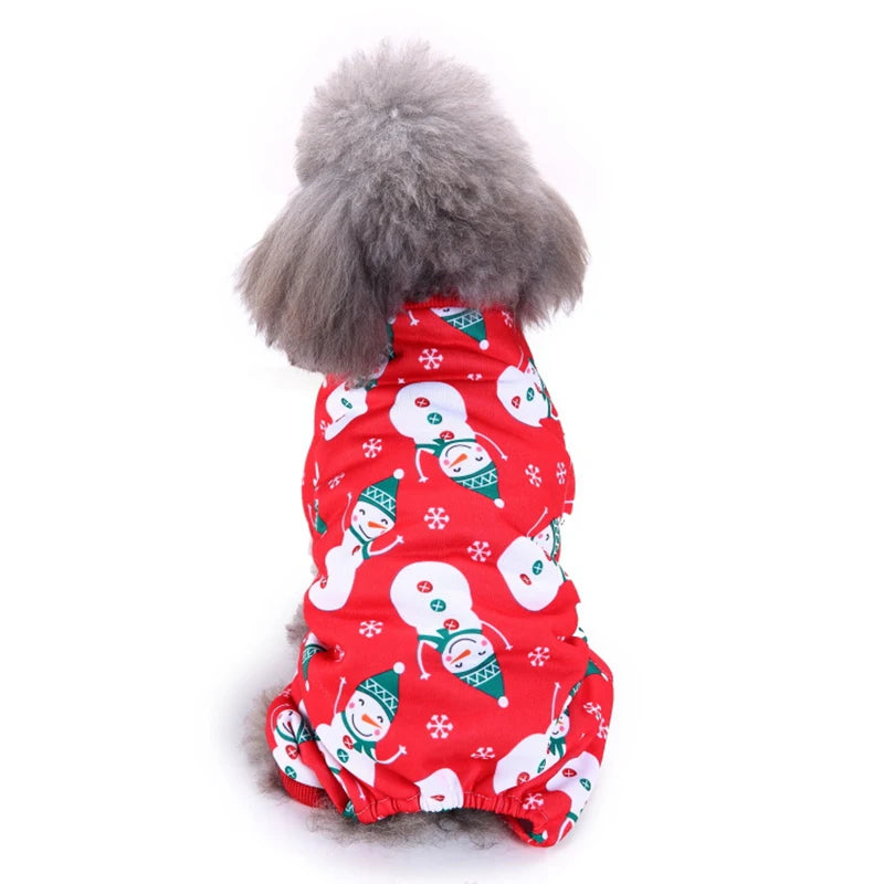 Pet Holiday Cosplay costume