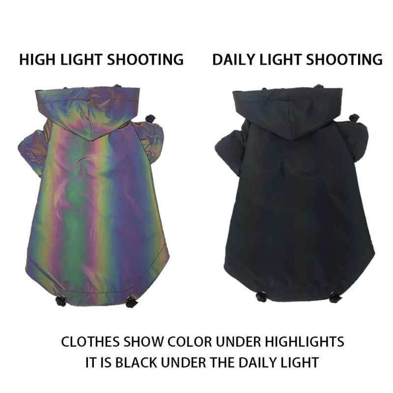 Pet Holographic Jacket