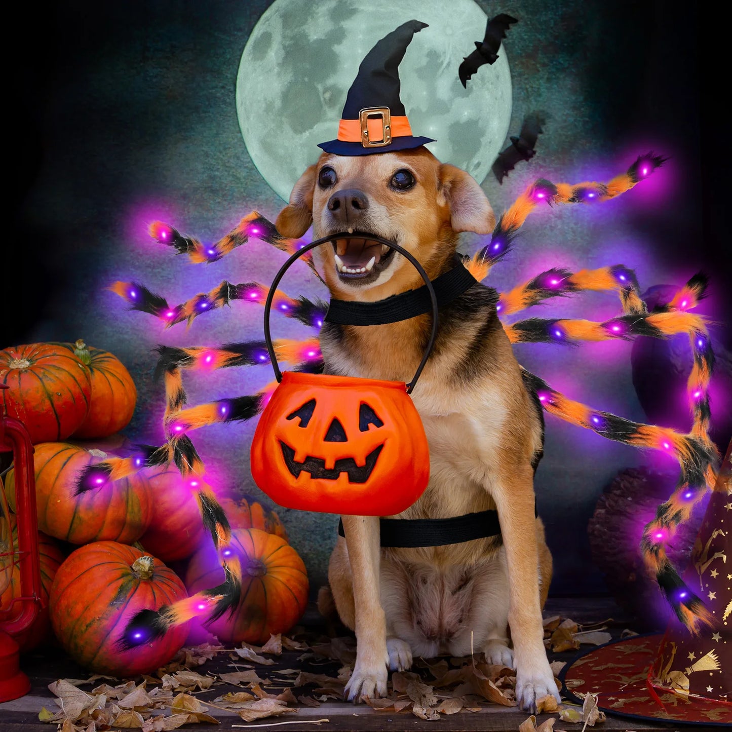 Furry Spider Light Up Pet Costume Cosplay