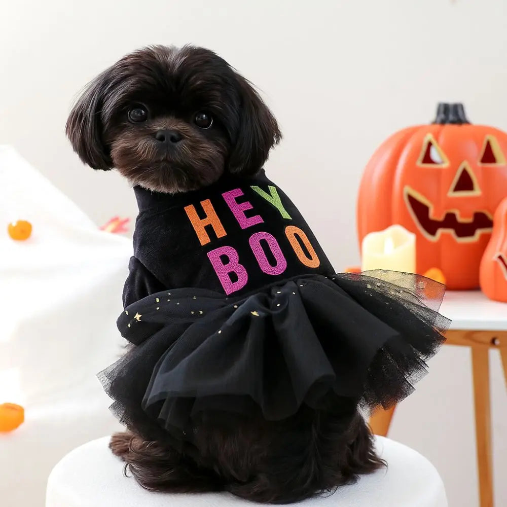 Hey Boo Pet Dress Costume