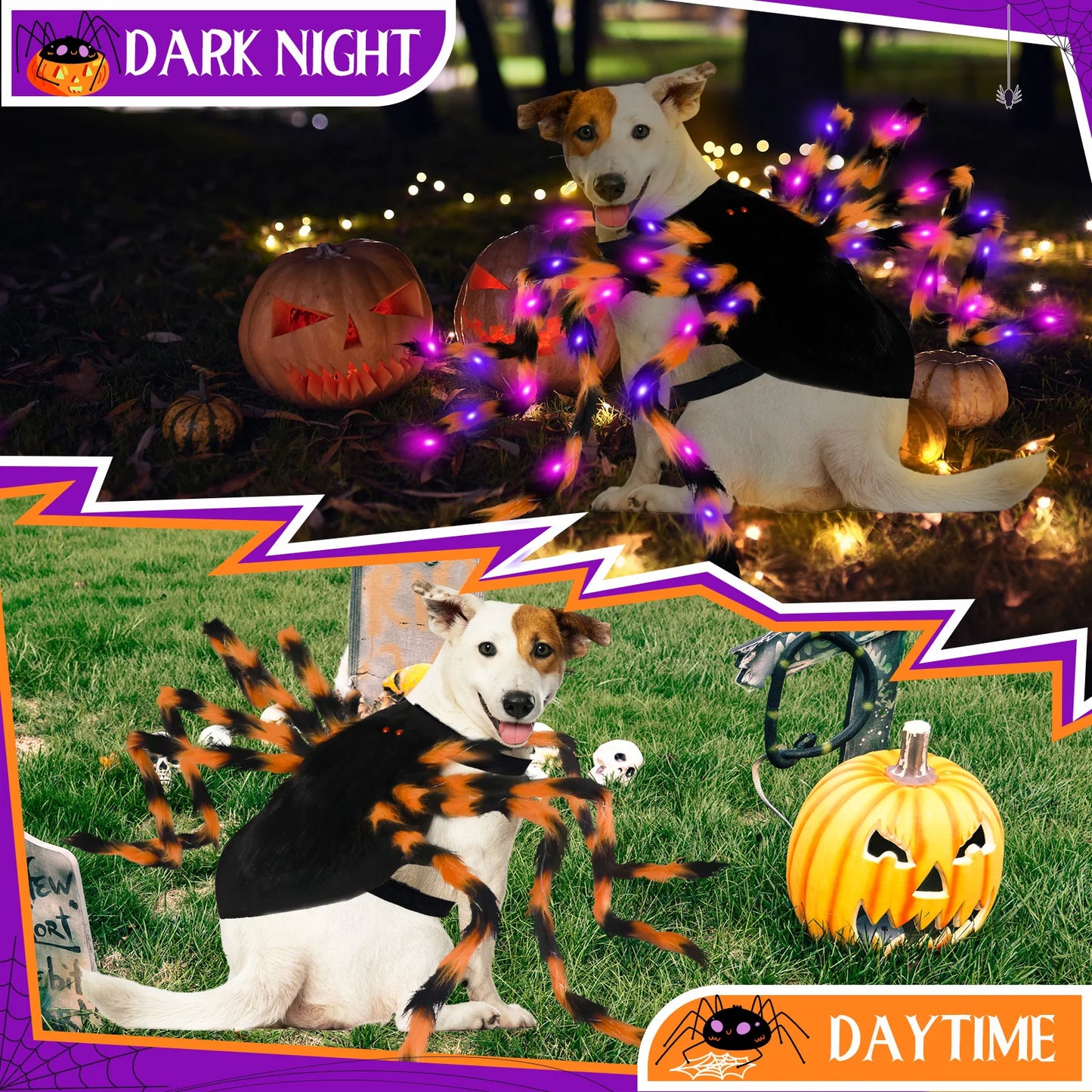 Furry Spider Light Up Pet Costume Cosplay