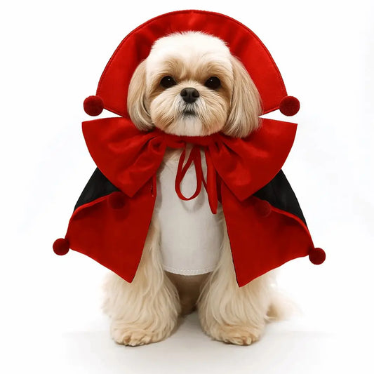 Pet Vampire or Witch Cosplay Costume
