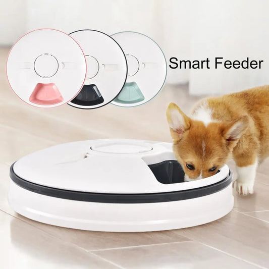Automatic Pet Timing Feeder With Voice Recorder, 6 Grids 24 hr, Safe Dry Wet Food Bowl