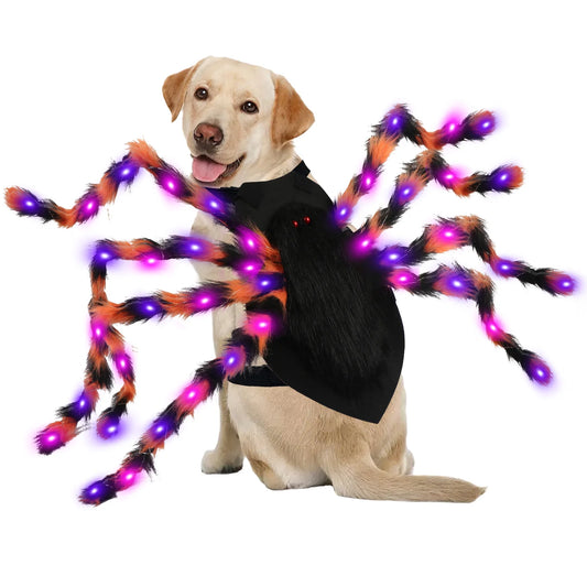 Furry Spider Light Up Pet Costume Cosplay