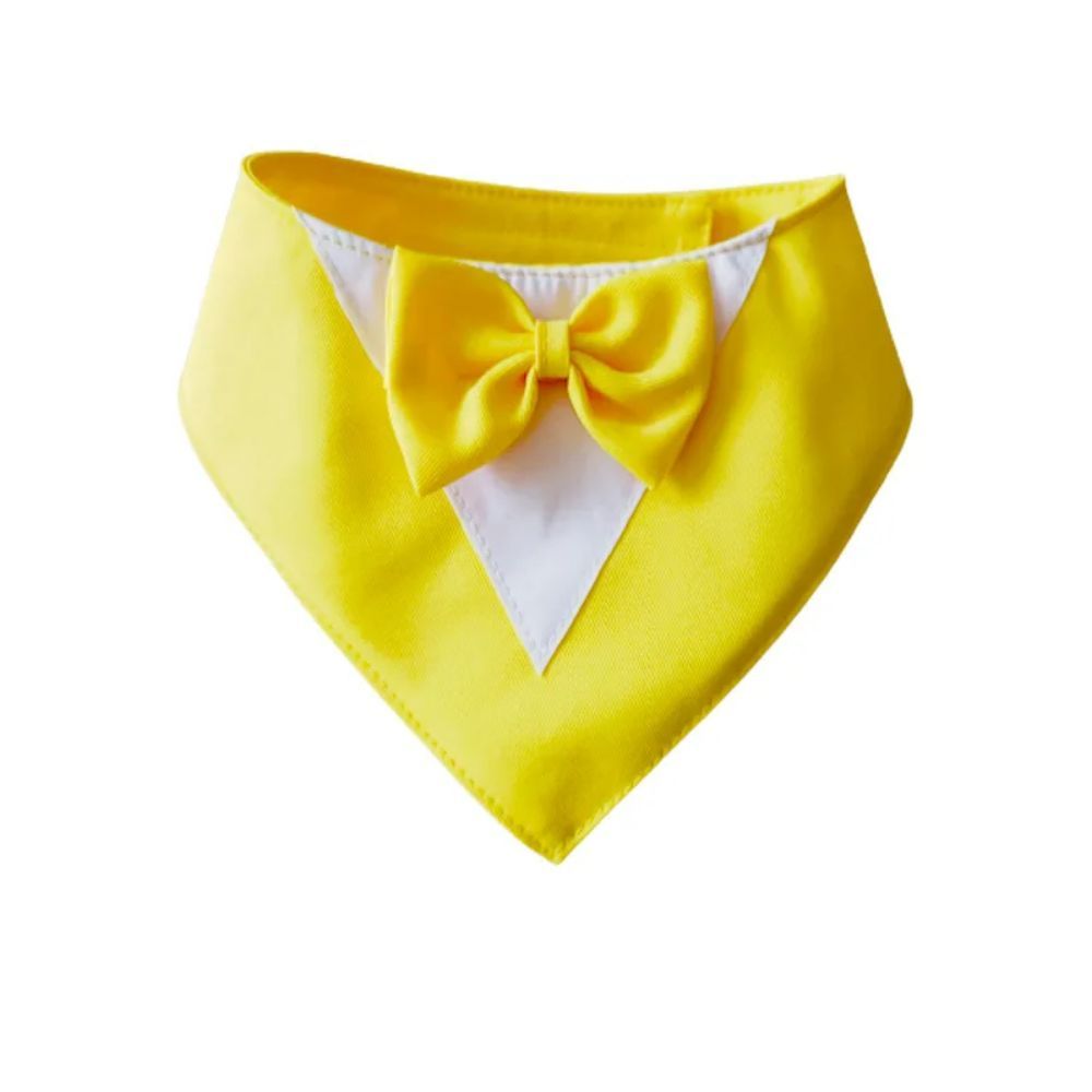 Pet Collar, fancy bow tie, time to dress up!